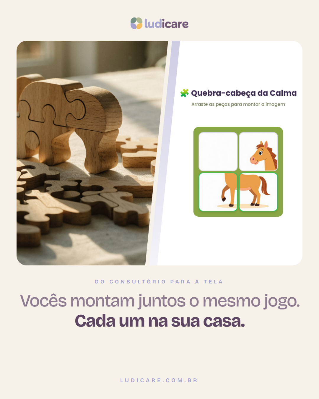 Vocês montam juntos o mesmo jogo. Cada um na sua casa.